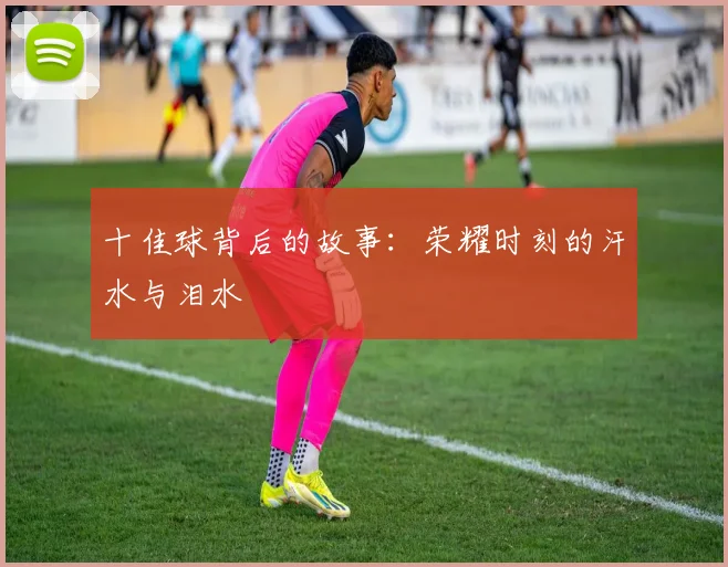 十佳球背后的故事:荣耀时刻的汗水与泪水